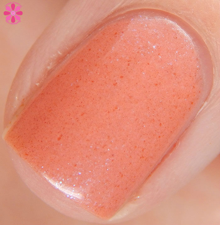 Scofflaw Nail Varnish Winter 2016 Collection Kitty Kitty Bang Bang Swatch