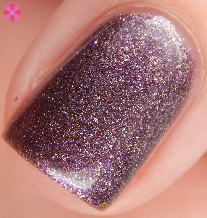 LE January 2016 Carnation Macro