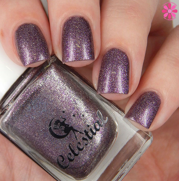 LE January 2016 Carnation Up