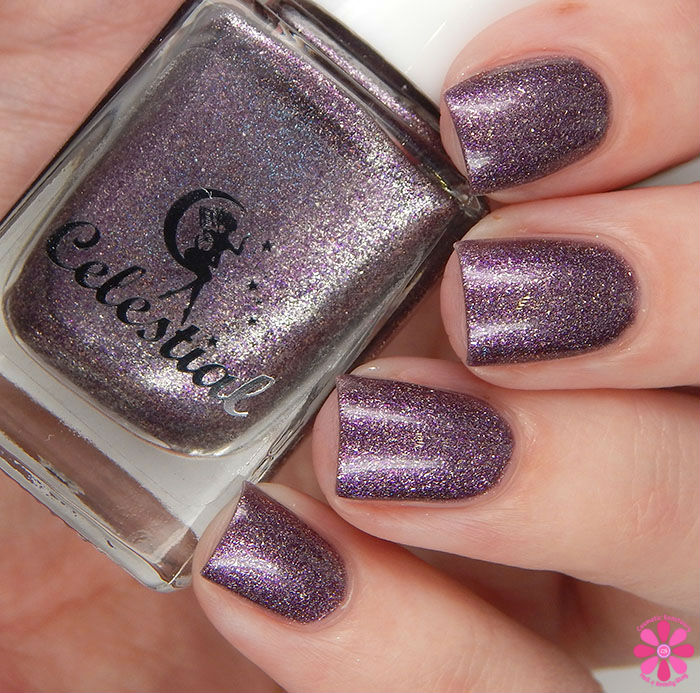 LE January 2016 Carnation