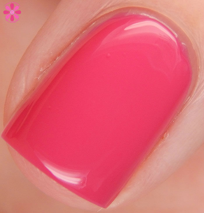 Love Potion Punch Macro