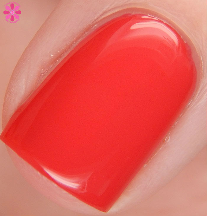 Red Hot Valentine Macro