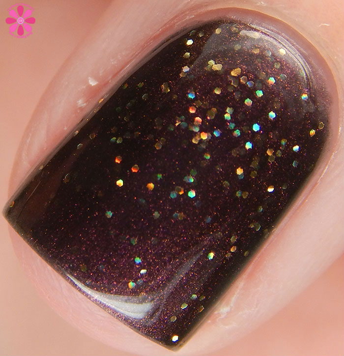 Powder Perfect Quest For Paradise Collection Treasure Chest Swatch