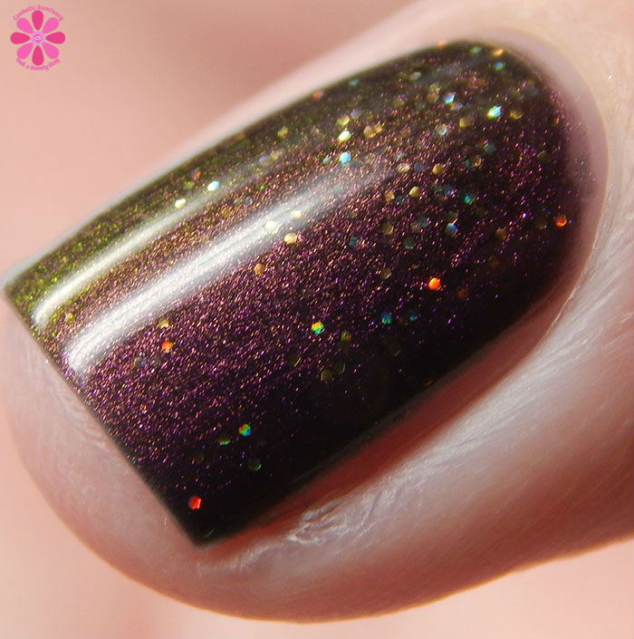 Powder Perfect Quest For Paradise Collection Treasure Chest Swatch