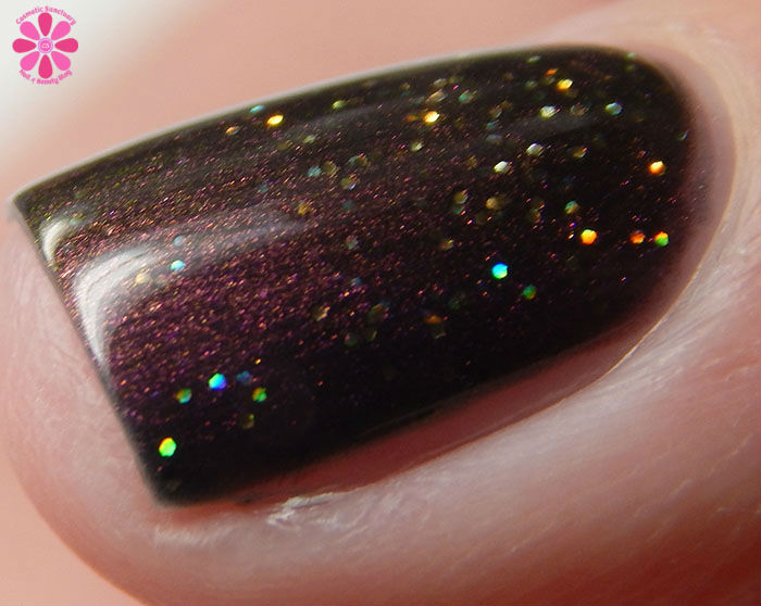 Powder Perfect Quest For Paradise Collection Treasure Chest Swatch