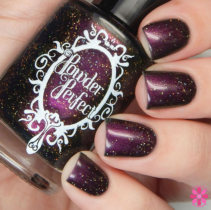 Powder Perfect Quest For Paradise Collection Treasure Chest Swatch