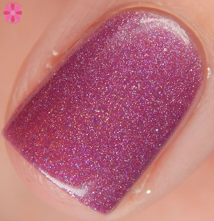 Powder Perfect Quest For Paradise Collection Uncharted Territory Swatch