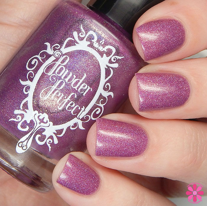 Powder Perfect Quest For Paradise Collection Uncharted Territory Swatch