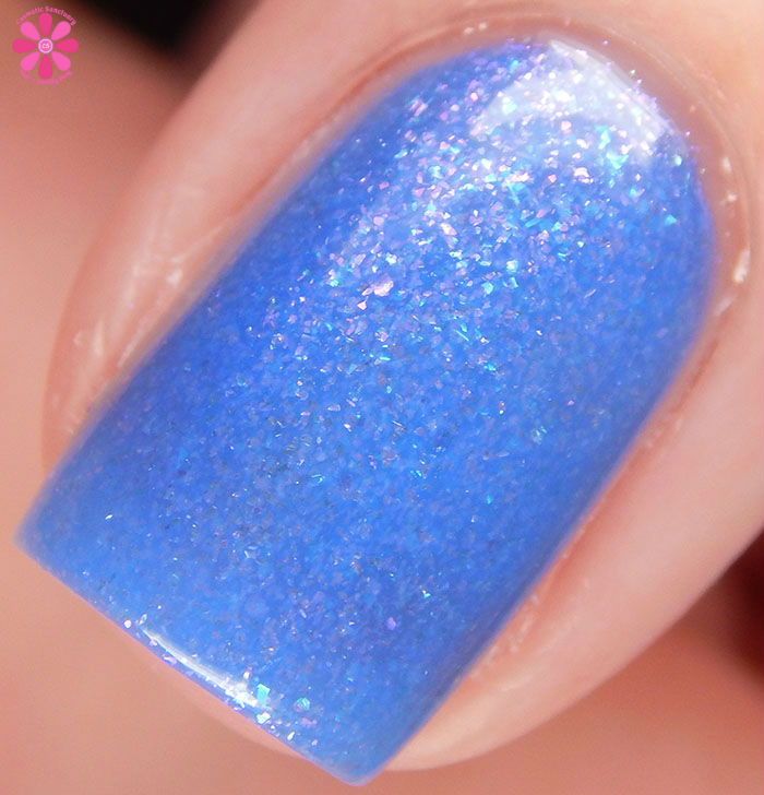 Ocean Breeze Macro