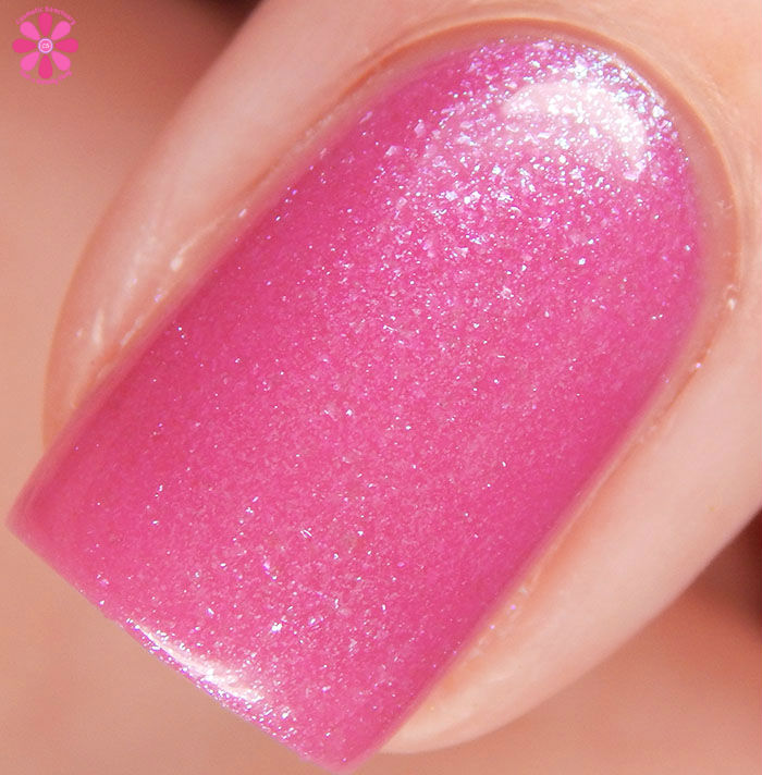 Pink Bikini Macro