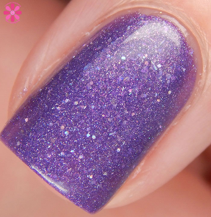 Royal Romance Macro