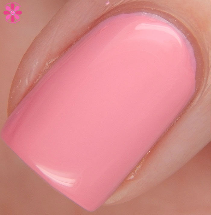 OPI Spring 2016 New Orleans Collection Review & Giveaway | Suzi Nails New Orleans Swatch