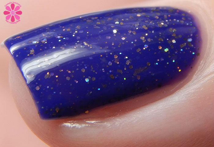 Aster Purple Dome Side