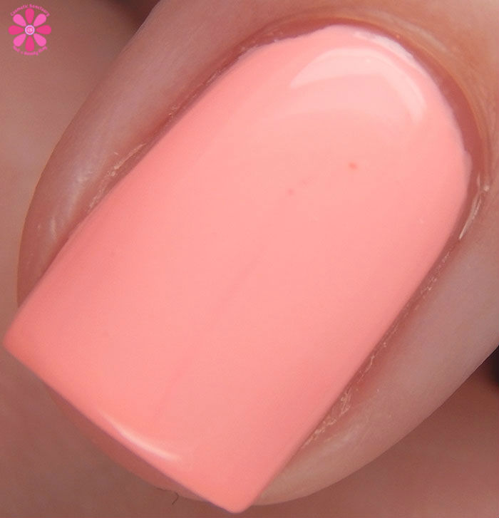 Mamey Macro