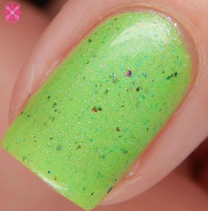 Like A Moss Macro