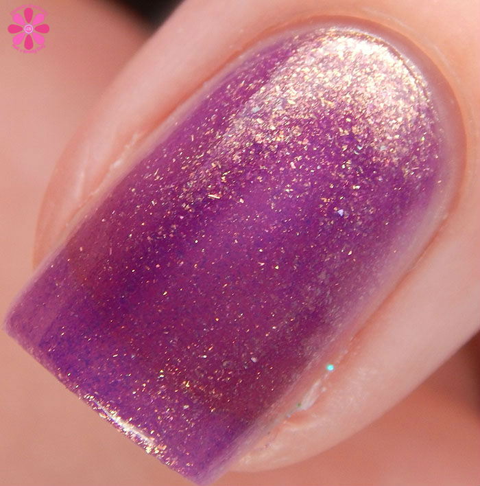 Smokey Mountain Lacquers Take A Chance On Me Macro