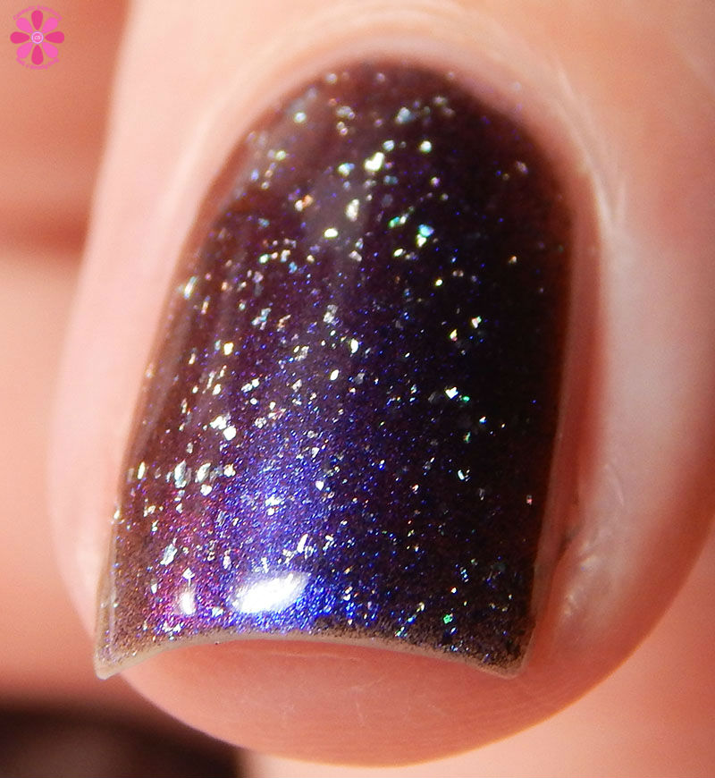 British Shit Stick Front