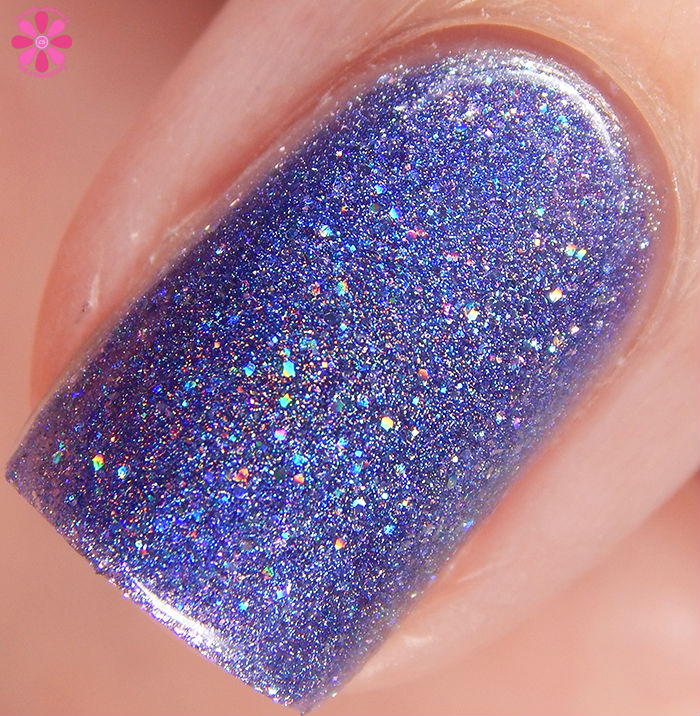 Duchess Macro