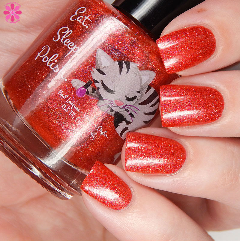 Eat Sleep Polish Anger