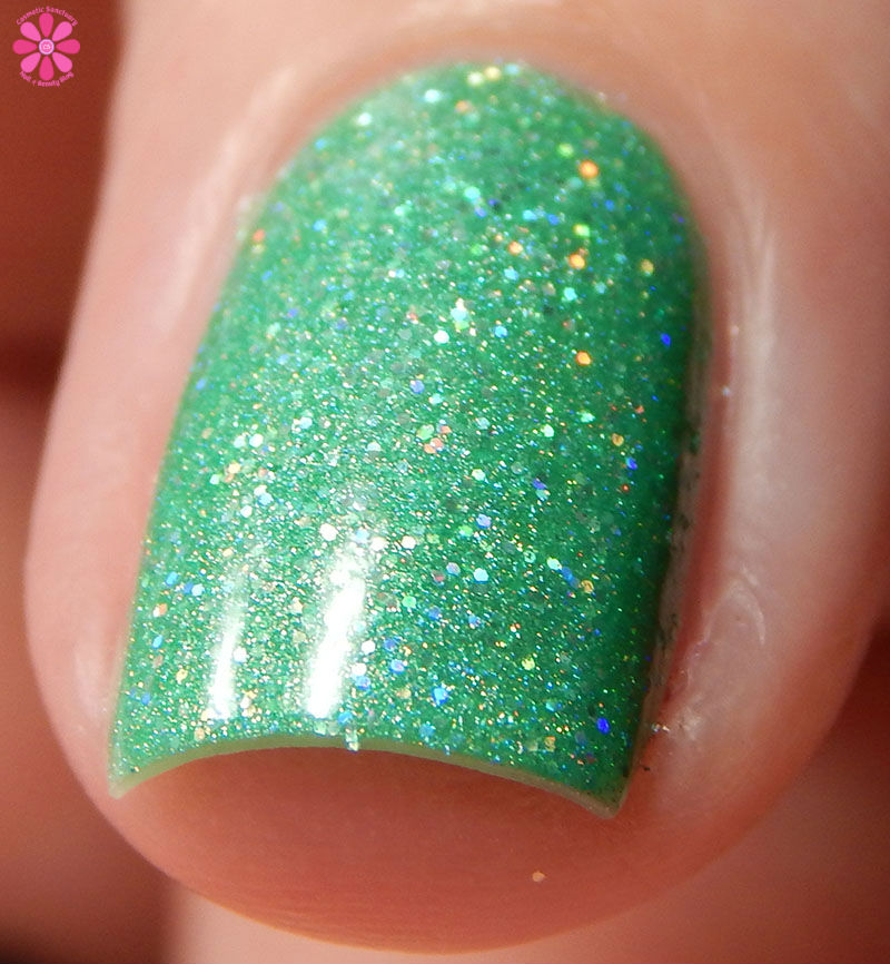Enchanted Forest Front