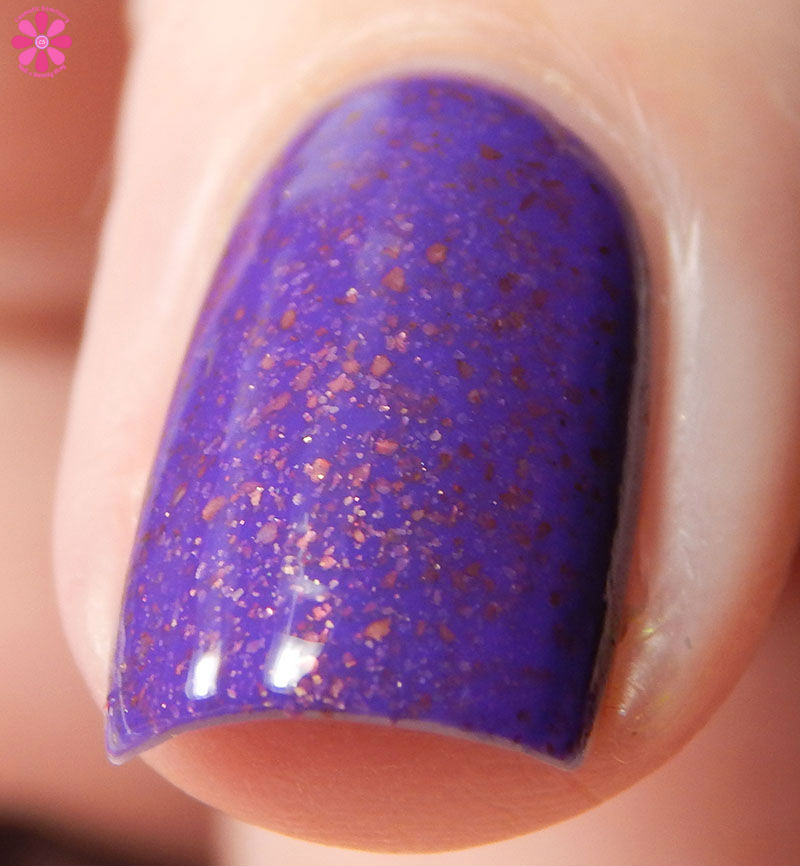 I'm Jaws Sayin Front