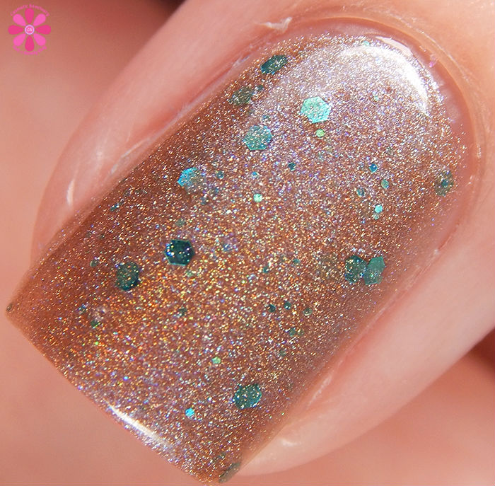 Nala Macro