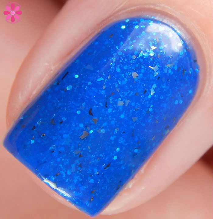 Polish M High Flying Tail Wag Macro