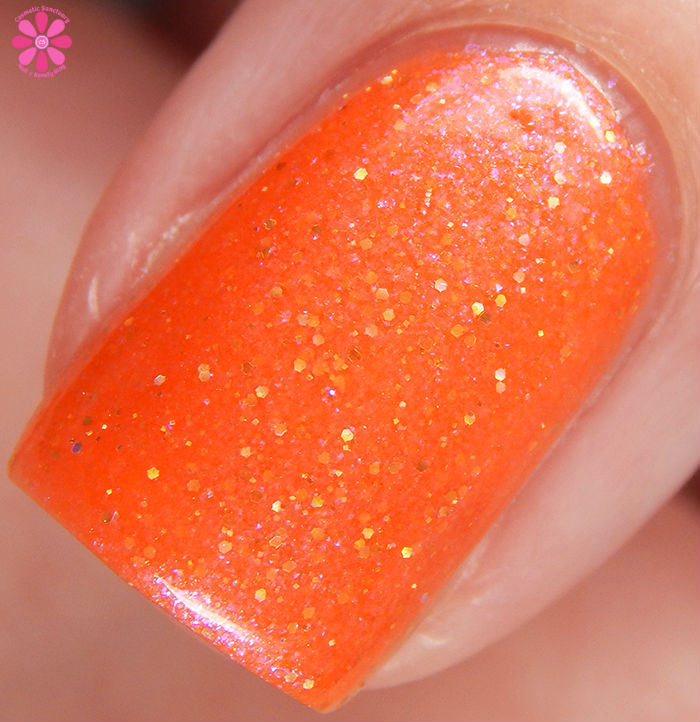 Rajah Macro
