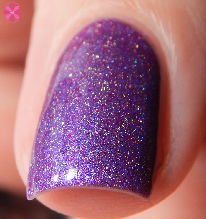 Seventy Seven Nail Lacquer Yes Mistress Front