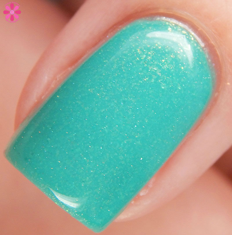 Splash Me If You Can Macro