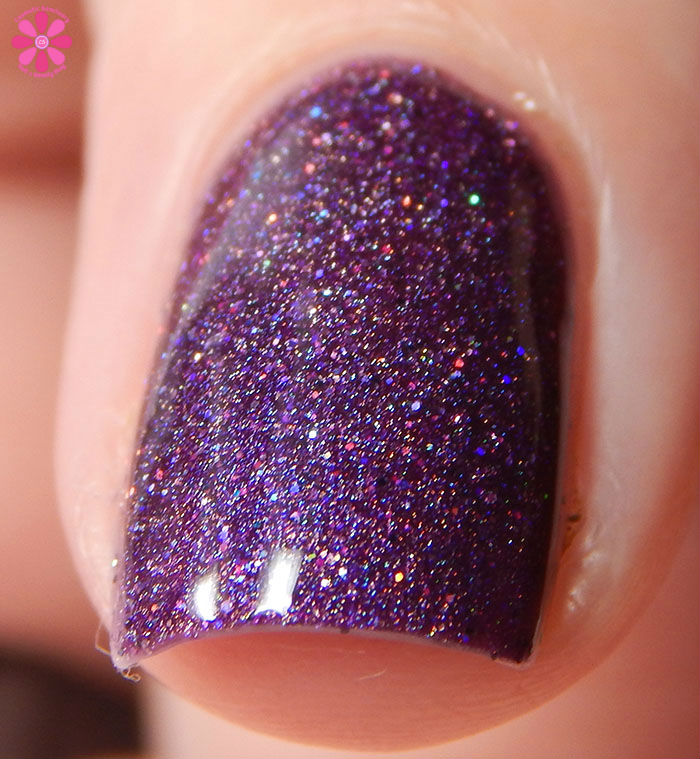 Stardust Beauty I Love My Gnomies Front