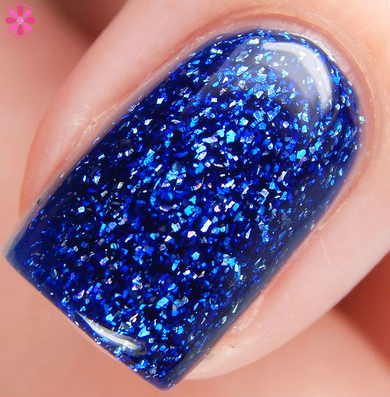 Testicle With Teeth Macro