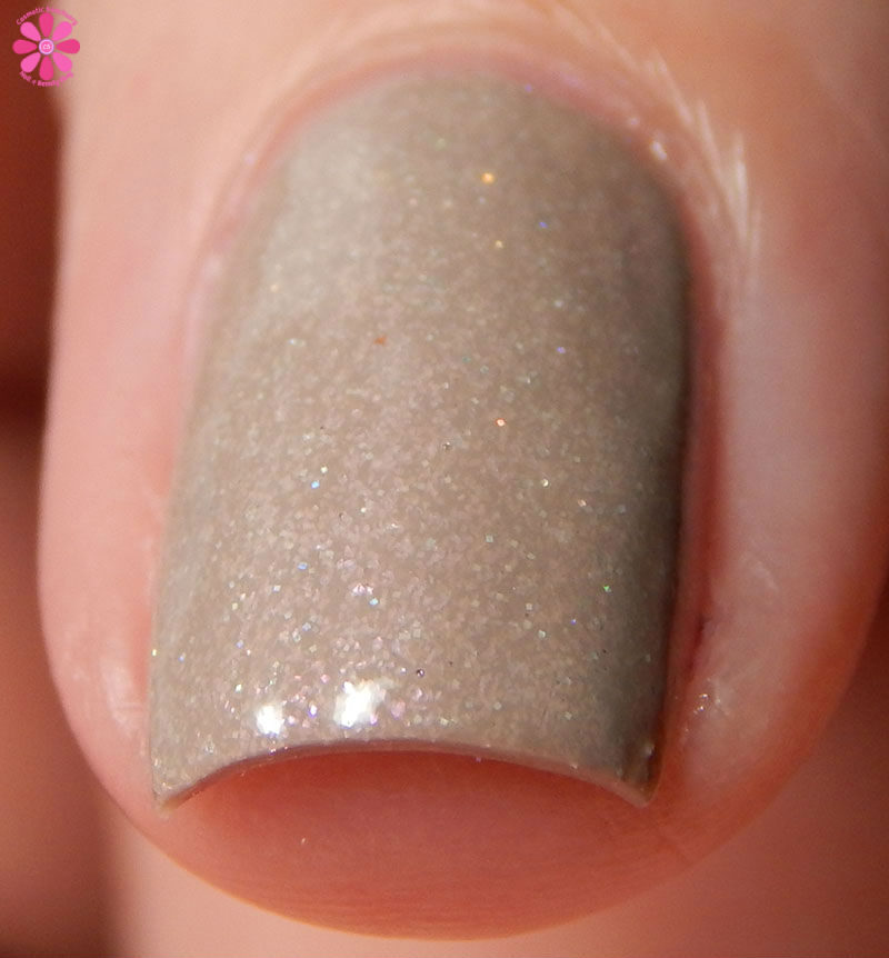 What The Shell Front