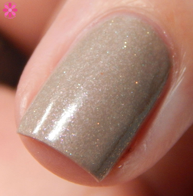 What The Shell Macro