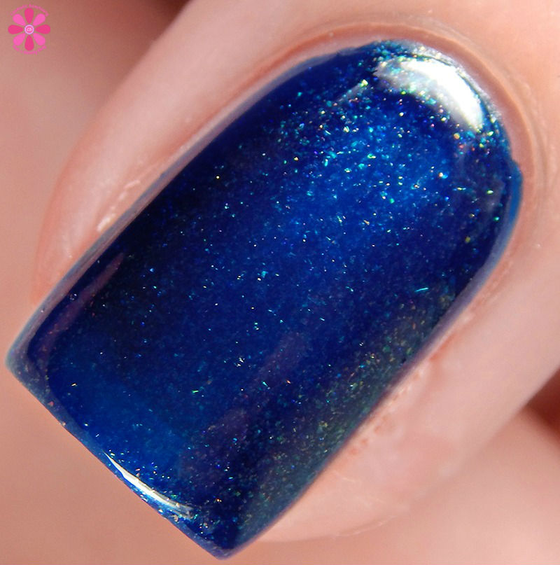 DIFFERENT dimension Bad Bouy Macro