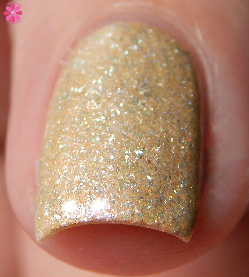 Different Dimension Oh Shell No Front