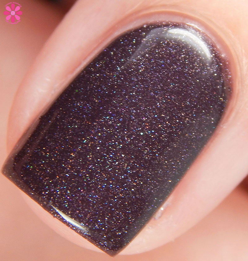 Elena Macro