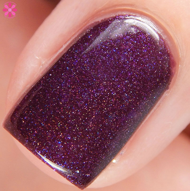 Elli Macro