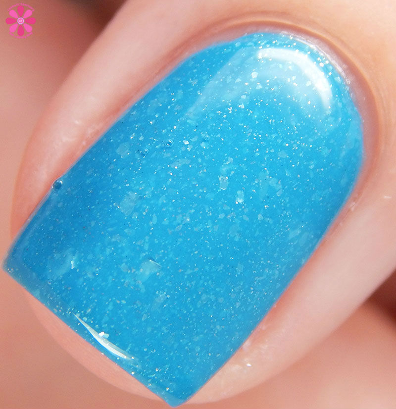 Polina Macro