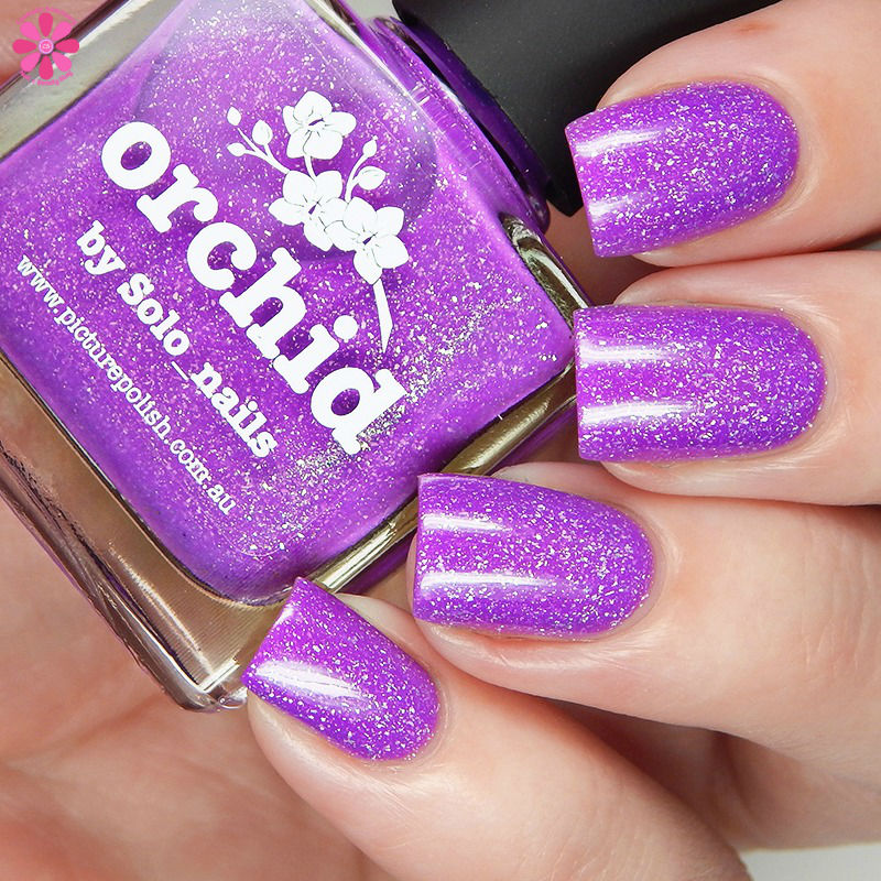 Orchid