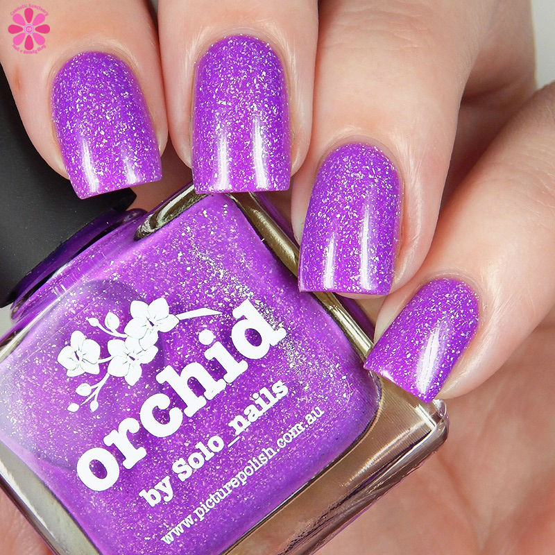 Orchid Down