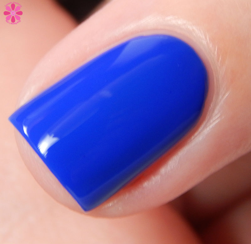 Pahlish August 2016 COTM Ponder This Macro