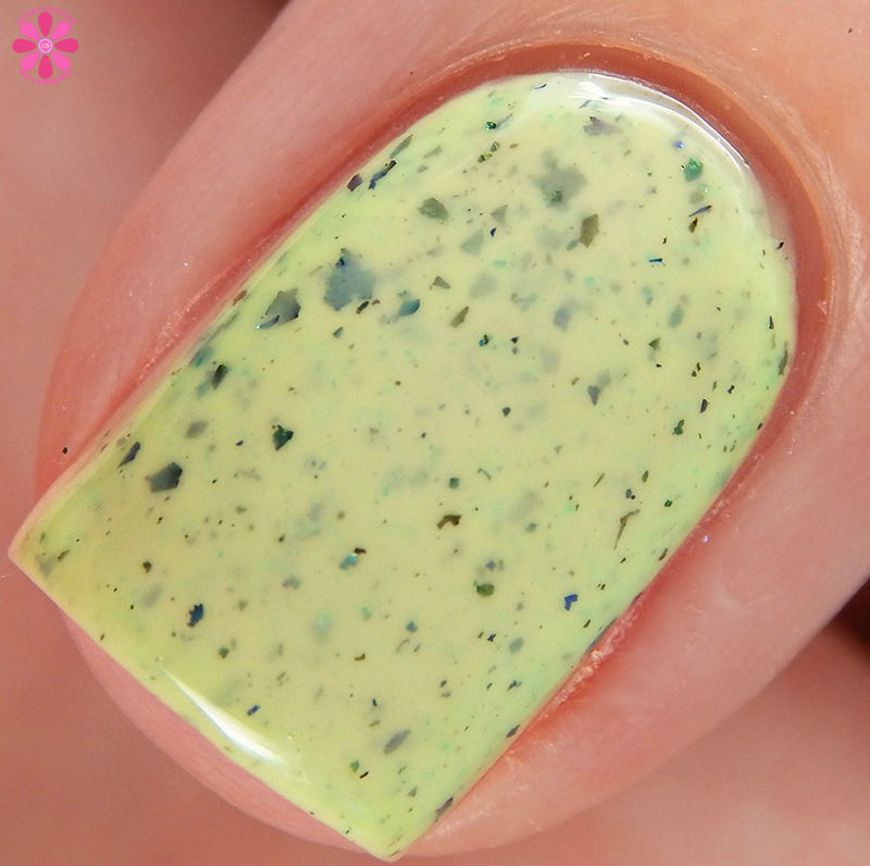 Pahlish Out of Oz Collection Elphaba Lives Macro