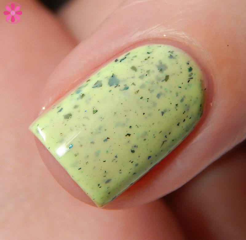 Pahlish Out of Oz Collection Elphaba Lives Side