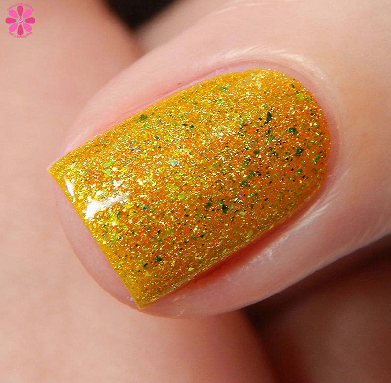 Pahlish Out of Oz Collection Yellow Brick Road Side