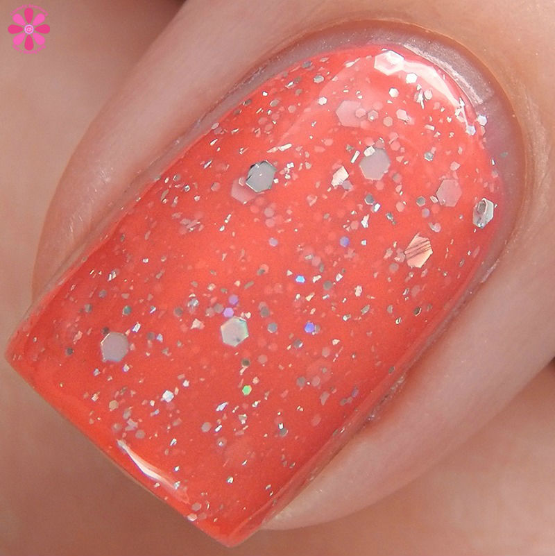 Summer Macro