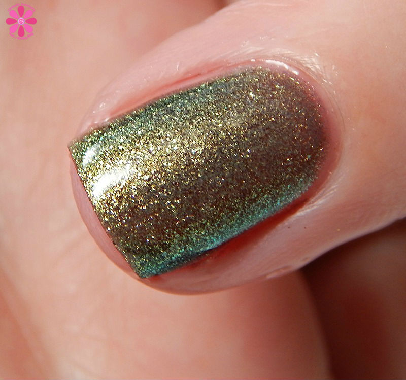 acorns-and-ashes-warm-cold