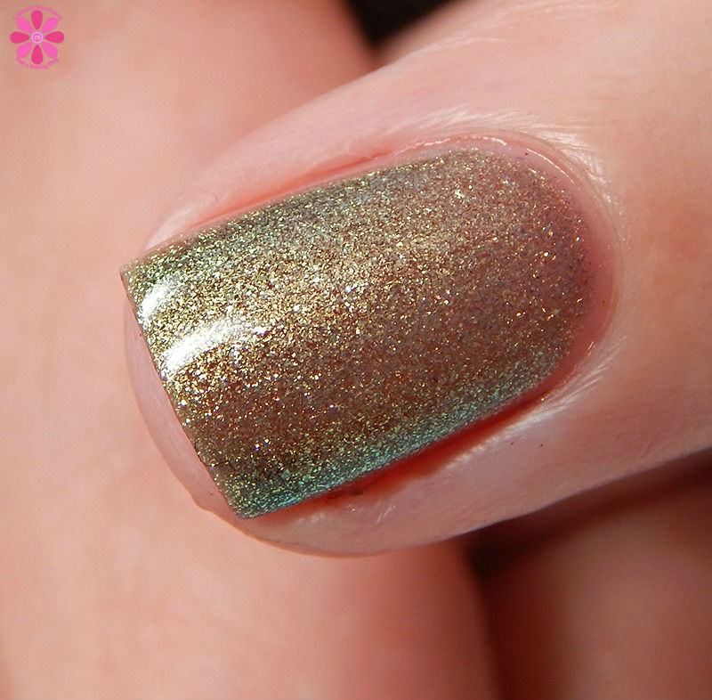 acorns-and-ashes-warm-transition-macro