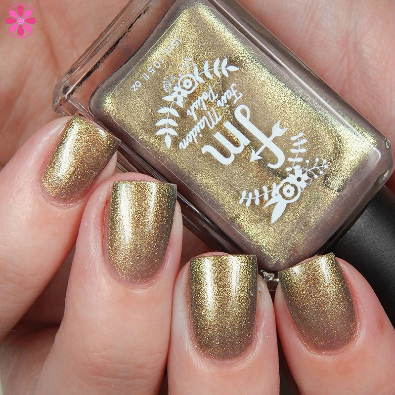 acorns-and-ashes-warm-transition-up