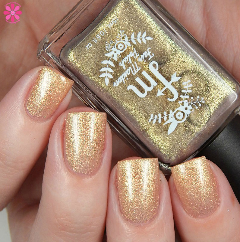 acorns-and-ashes-warm-up